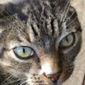 Meet your Posher, Jeanine